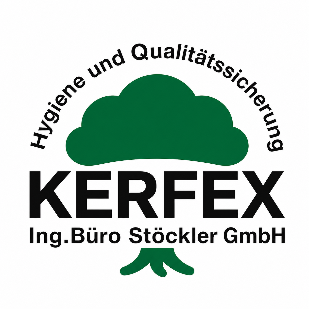 Kerfex Ing. B&uuml;ro St&ouml;ckler GmbH